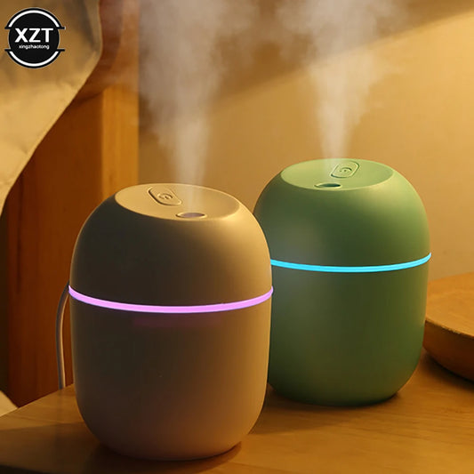 Mini diffuseur d'huile aromatique 220ML